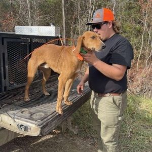 Meet your Posher, Josh